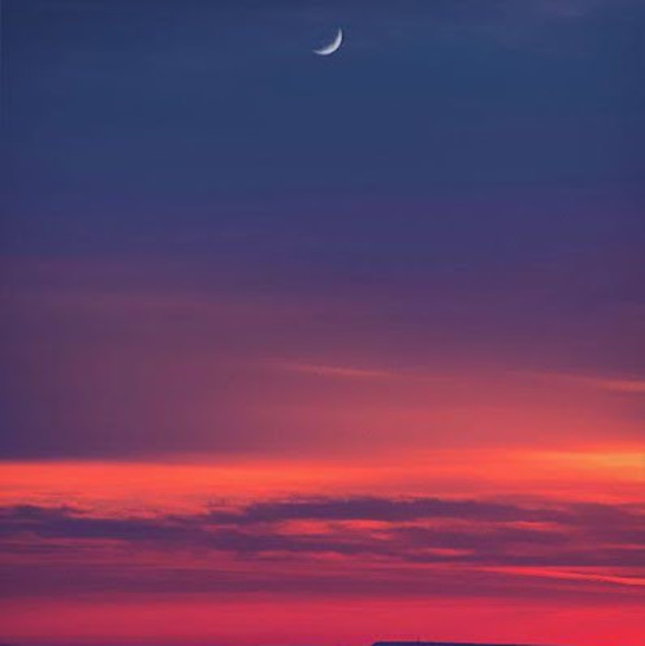 Meet your Posher, Darknut - Picture 1 of 1